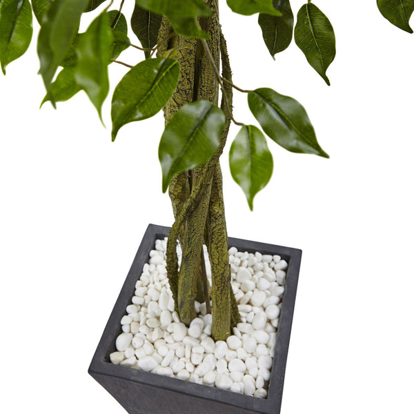 6.5’ Ficus Tree with Slate Planter UV Resistant (Indoor Outdoor)
