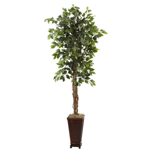 6.5’ Ficus w/Decorative Planter