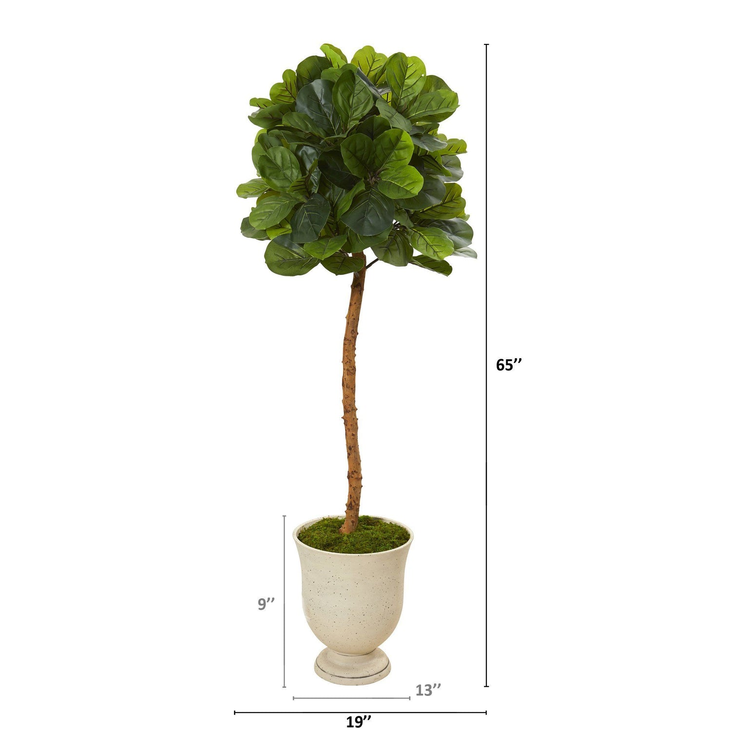 65” Fiddle Leaf Artificial Tree in Decorative Urn (Real Touch)