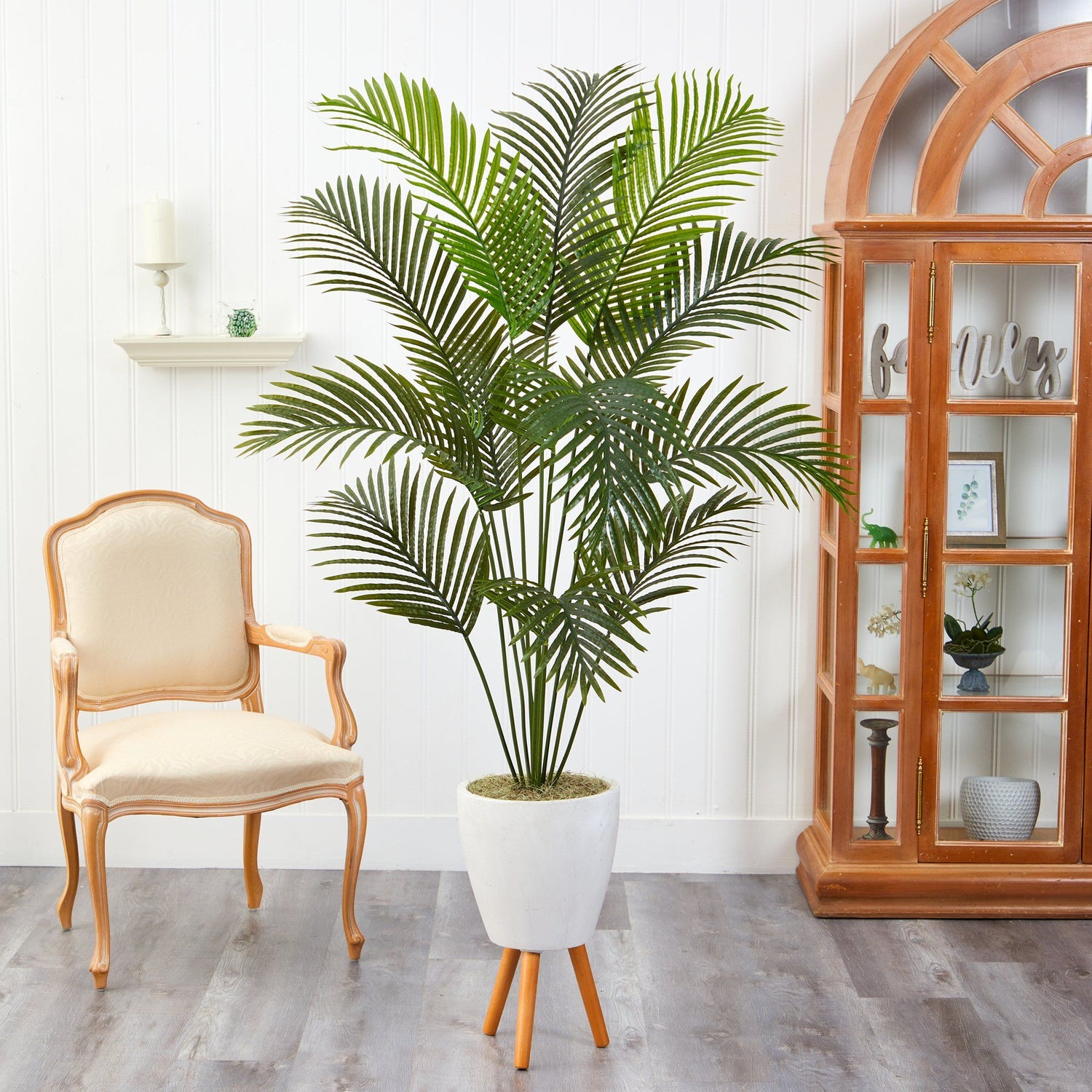 6.5’ Golden Cane Artificial Palm Tree in White Planter with Stand