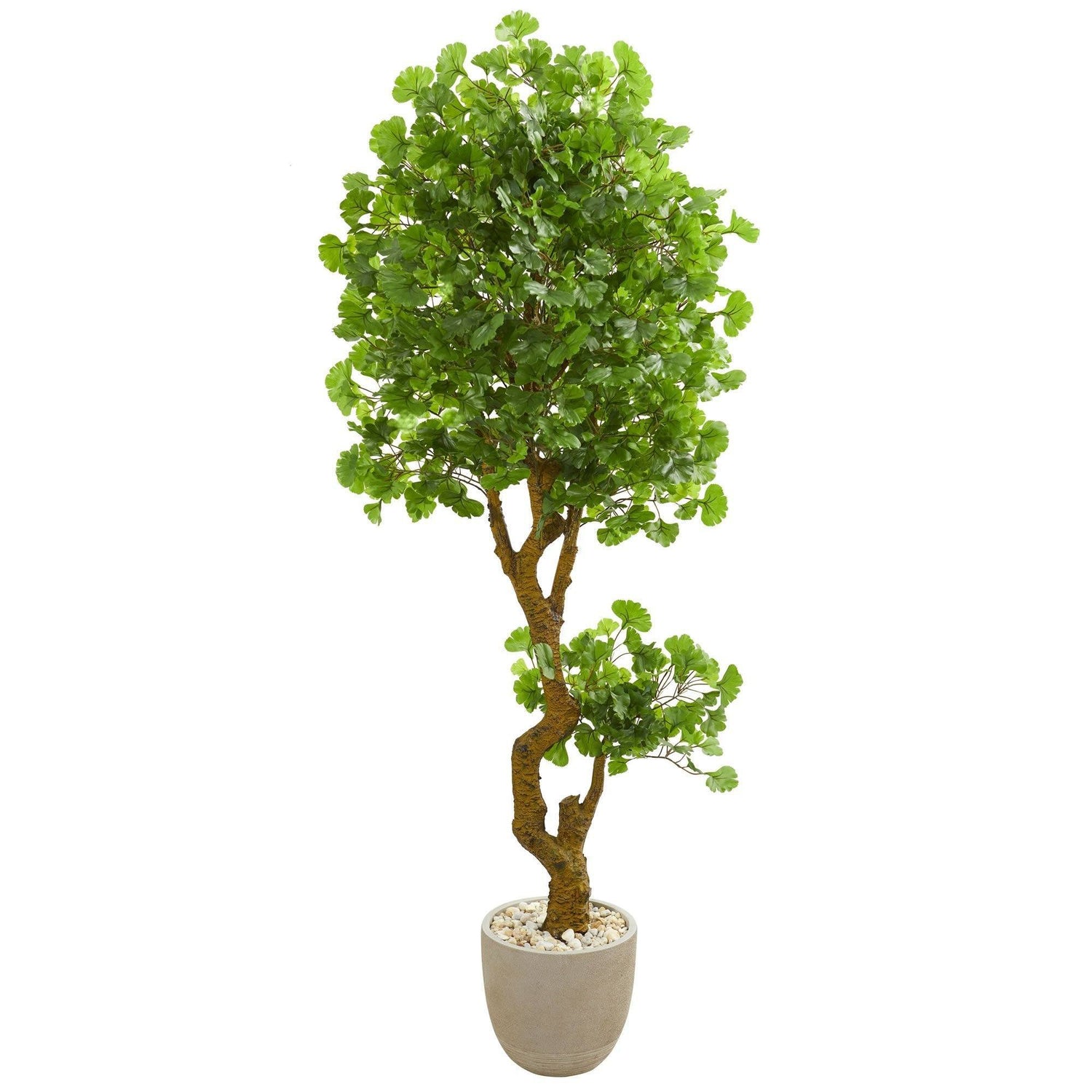 6.5’ Jingo Artificial Tree in Sand Colored Planter (Indoor/Outdoor)
