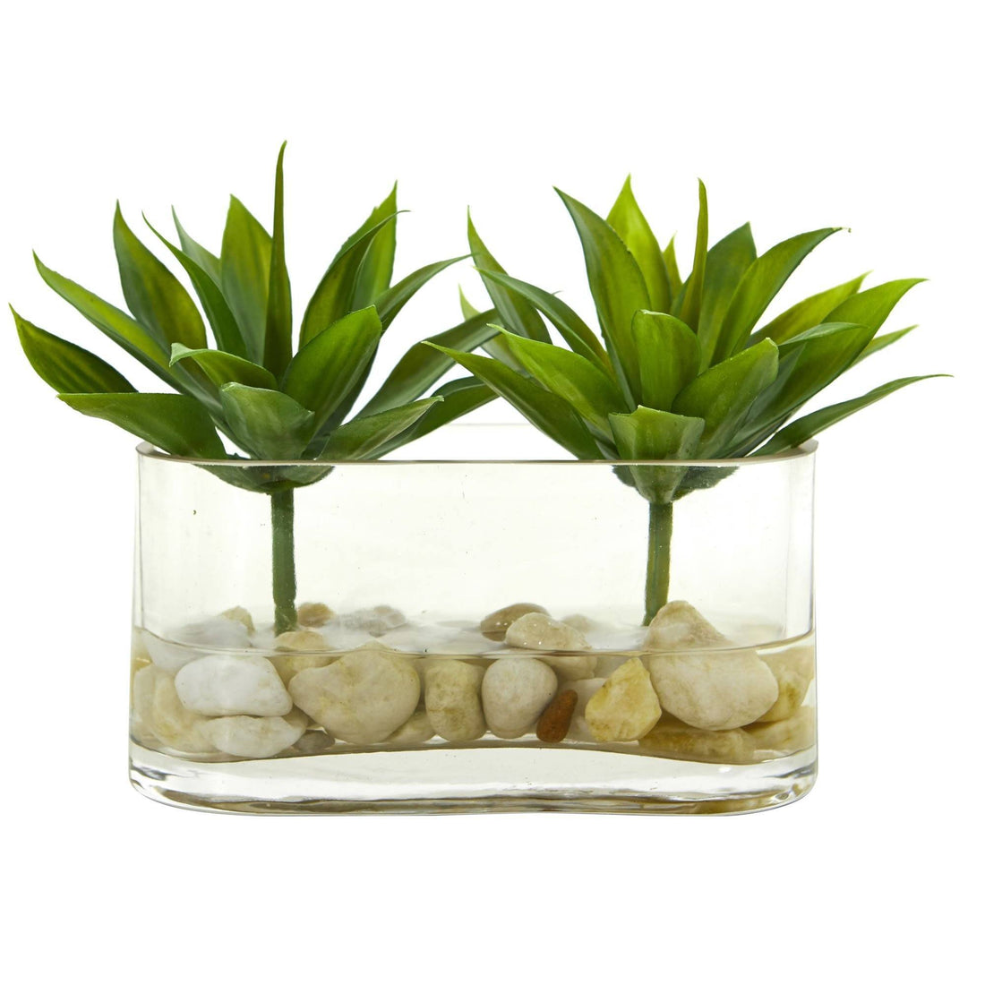artificial succulent arrangements in glass 6.5” Mini Agave Succulent Artificial Arrangement in Glass Vase