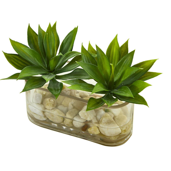 6.5” Mini Agave Succulent Artificial Arrangement in Glass Vase