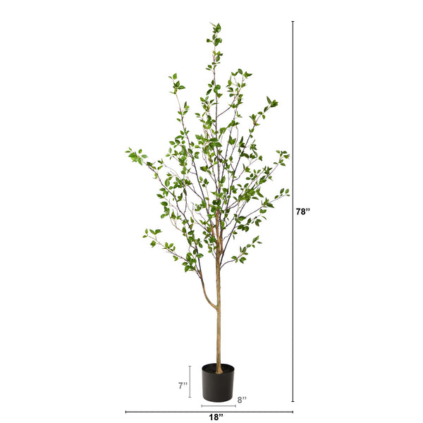 6.5' Minimalist Citrus Tree