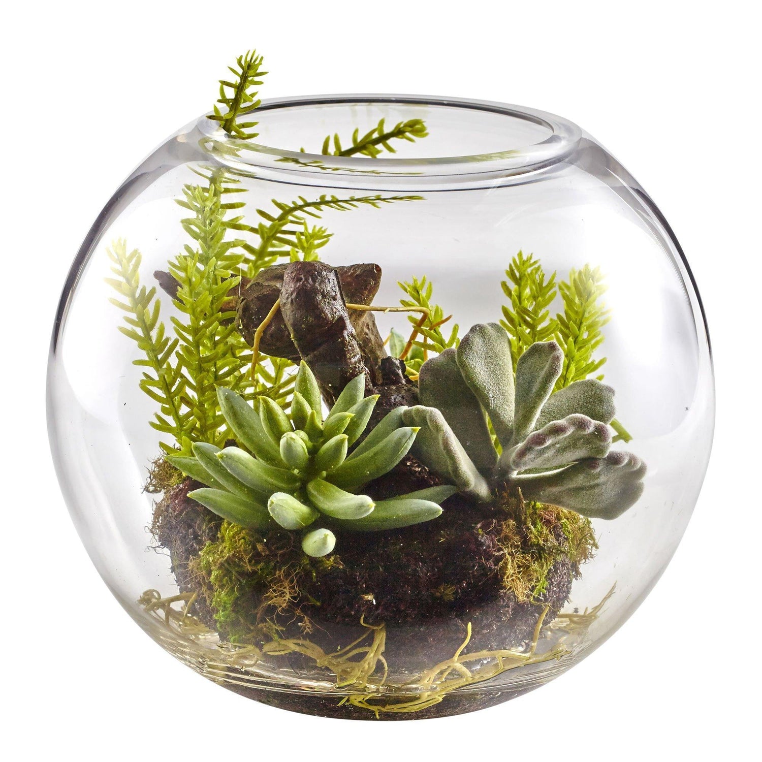6.5” Mix Succulent Garden w/Glass Vase