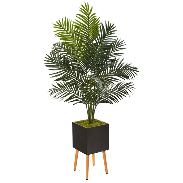 65” Paradise Palm Artificial Tree in Black Planter with Stand