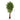 6.5’ Super Deluxe Ficus Artificial Tree with Natural Trunk