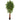 6.5’ Super Deluxe Ficus Artificial Tree with Natural Trunk