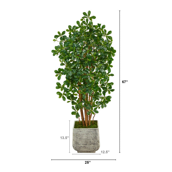 67” Black Olive Artificial Tree with 1365 Bendable Leaves in White Planter
