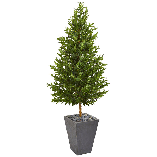 67” Olive Cone Topiary Artificial Tree in Slate Planter (Indoor/Outdoor)