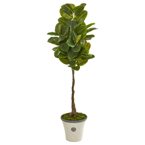 67” Rubber Leaf Artificial Tree in Planter (Real Touch)
