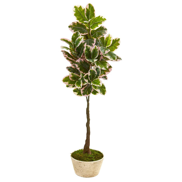 67” Variegated Rubber Leaf Artificial Tree in Planter (Real Touch)