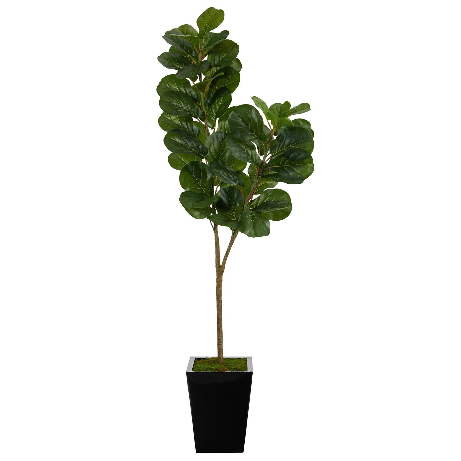 68” Fiddle leaf Fig Artificial Tree in Black Metal Planter