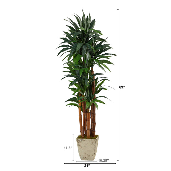 69” Dracaena Artificial Tree in Country White Planter