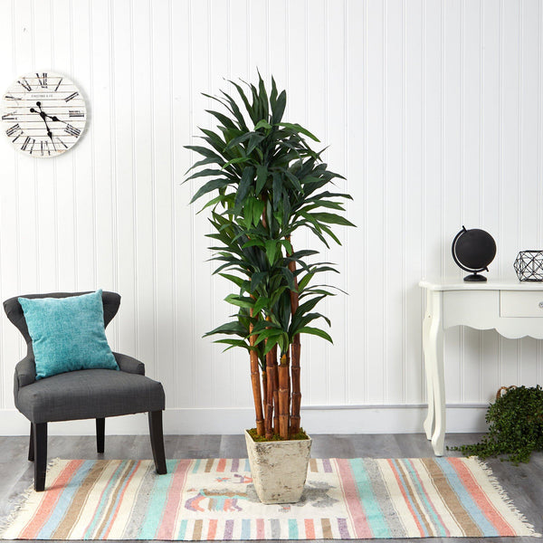 69” Dracaena Artificial Tree in Country White Planter