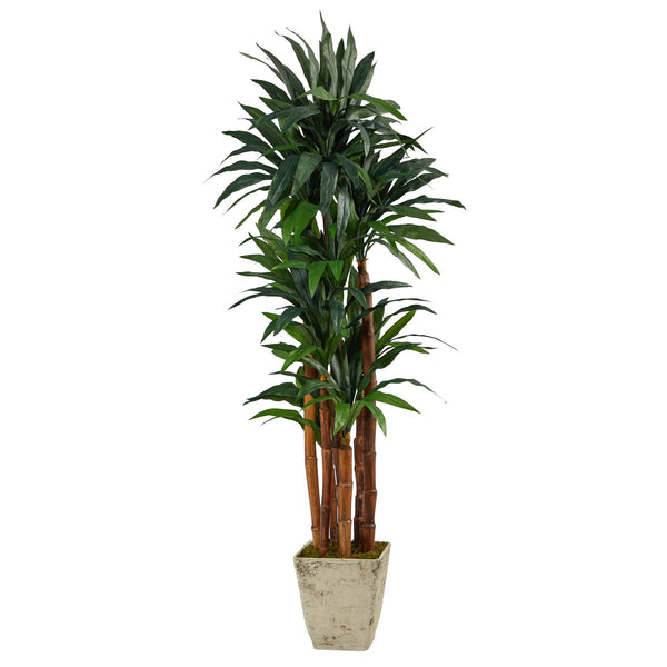 69” Dracaena Artificial Tree in Country White Planter