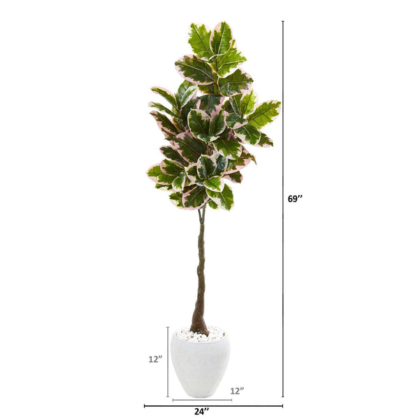 69” Variegated Rubber Leaf Artificial Tree in White Planter (Real Touch)