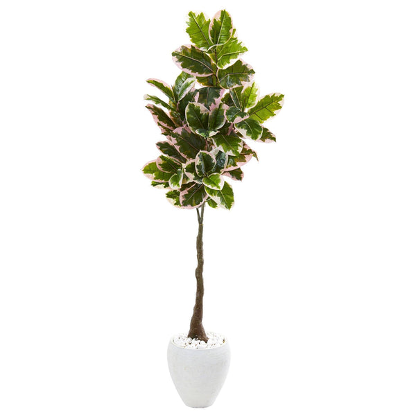 69” Variegated Rubber Leaf Artificial Tree in White Planter (Real Touch)