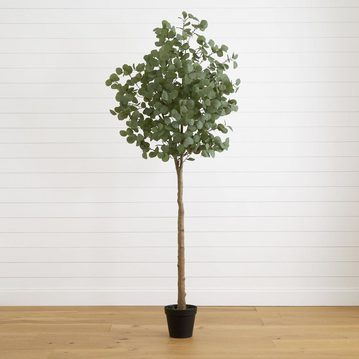 Faux Eucalyptus Trees Nearly Natural