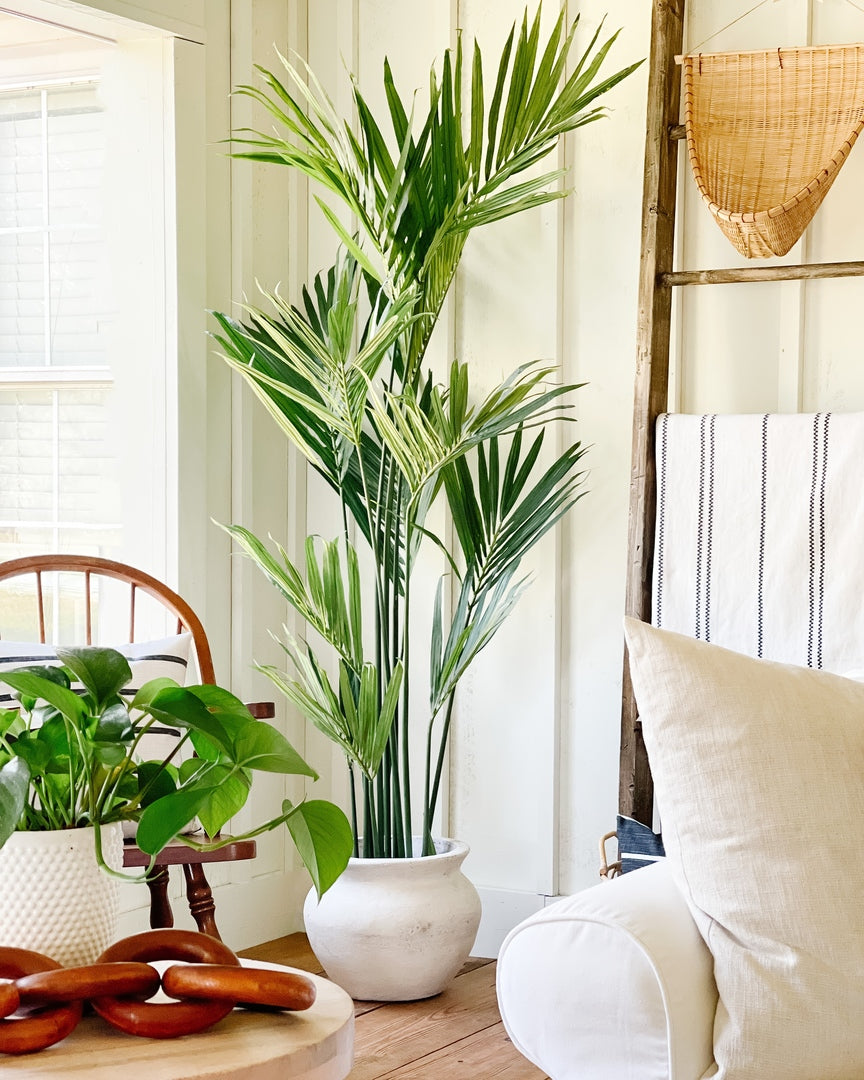indoor plants kentia palm Nearly Natural 7 ft. Kentia Palm Silk Tree