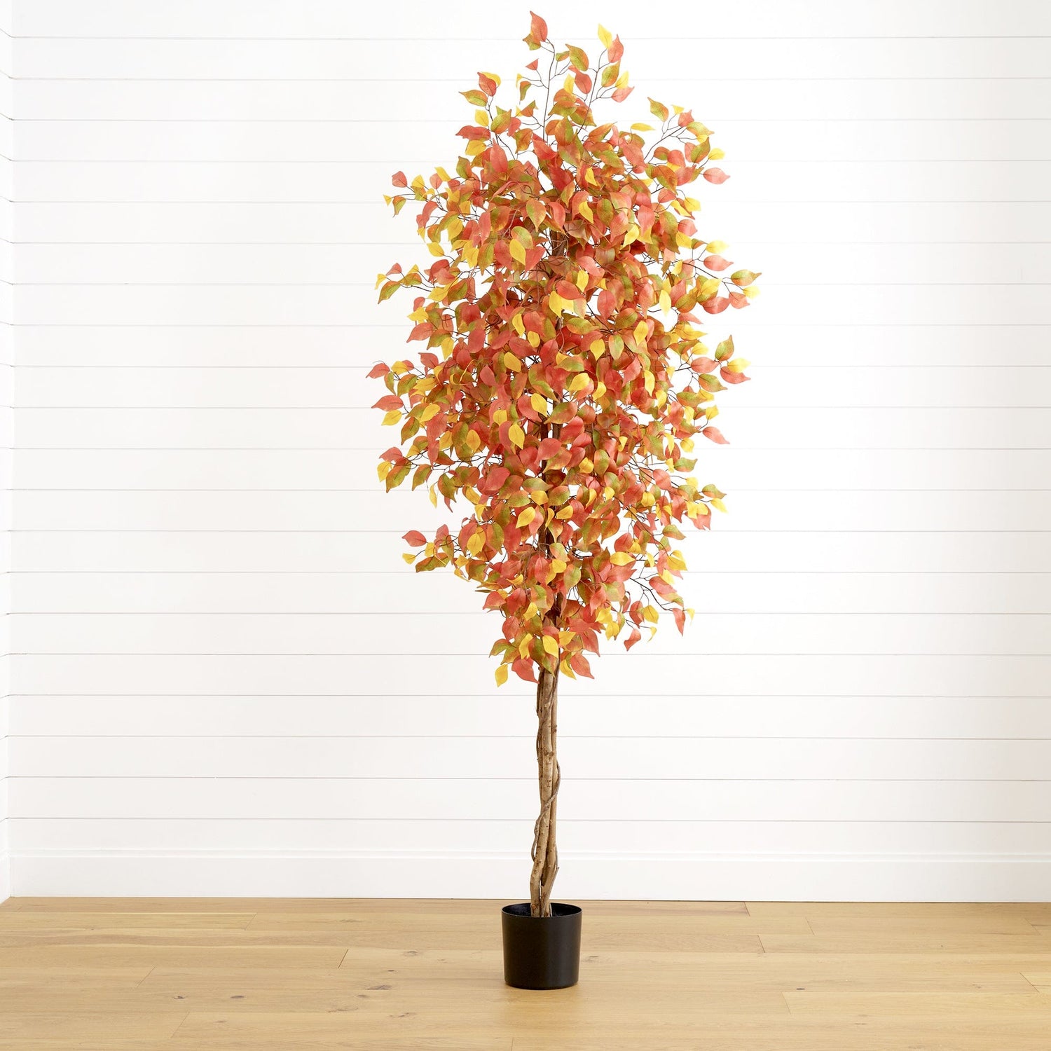 7’ Autumn Ficus Artificial Fall Tree