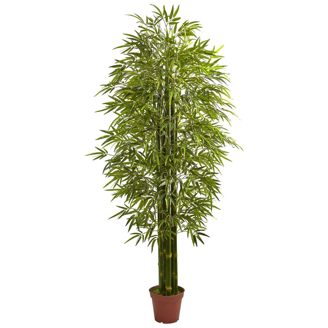 tall indoor bamboo plants for sale 7' Bamboo Tree UV Resistant (Indoor/Outdoor)