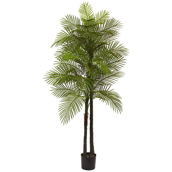 7’ Double Robellini Palm Tree UV Resistant (Indoor/Outdoor)