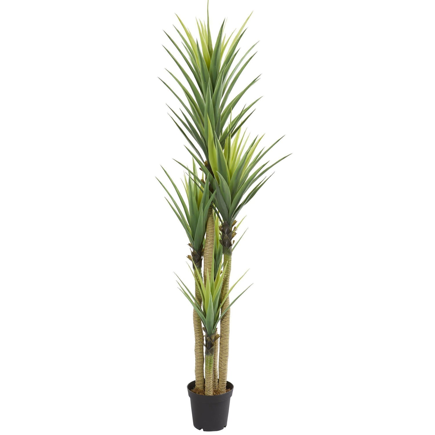 7' Dracaena Artificial Plant