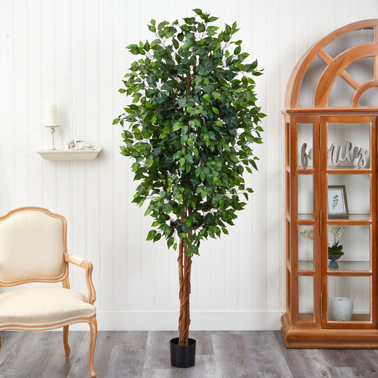 7' Ficus Silk Tree | Nearly Natural