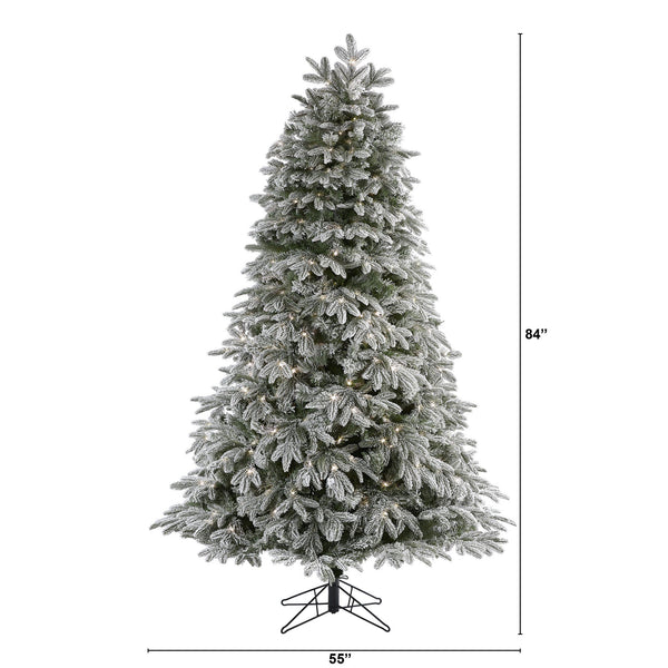 7' Flocked Colorado Mountain Fir Artificial Christmas Tree