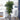 7’ Golden Cane Artificial Palm Tree in Cement Planter