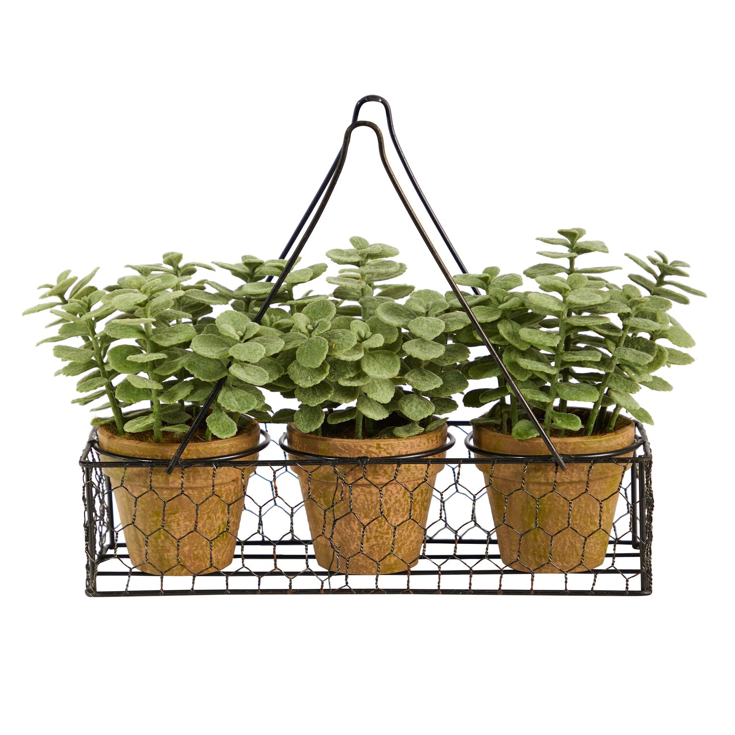 7” Mini Jade Garden Artificial Plant in Hanging Planter