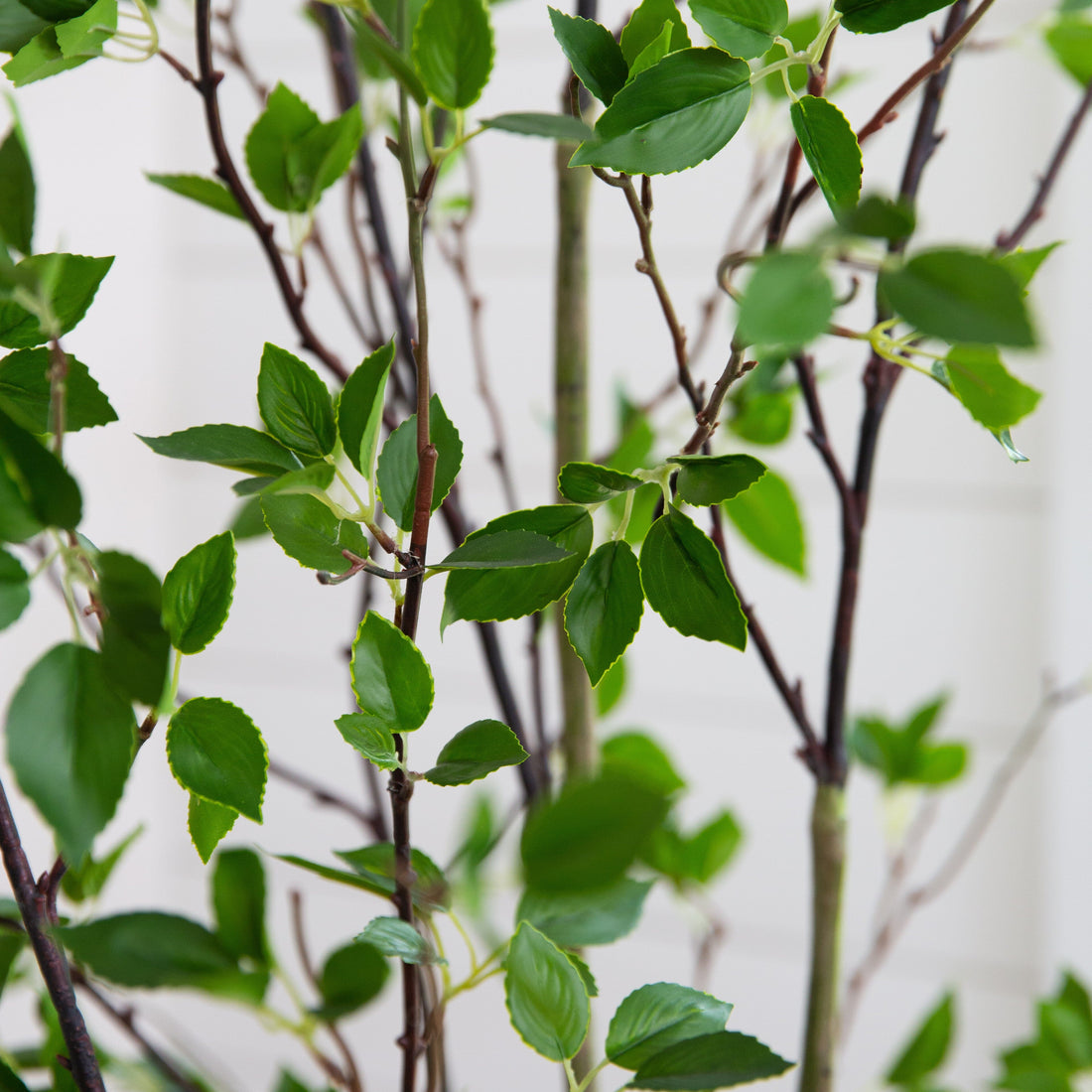 faux minimalist citrus potted plant Nearly Natural 7 ft. Minimalist Artificial Citrus Tree