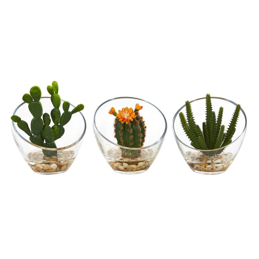 set of three succulents 7” Mixed Succulent Artificial Plant in Glass Vase (Set of 3)