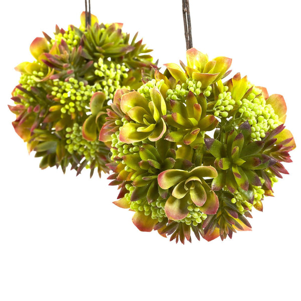 7” Mixed Succulent Hanging Spheres (Set of 2)