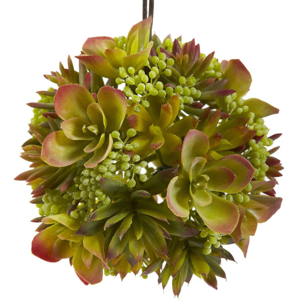 7” Mixed Succulent Hanging Spheres (Set of 2)
