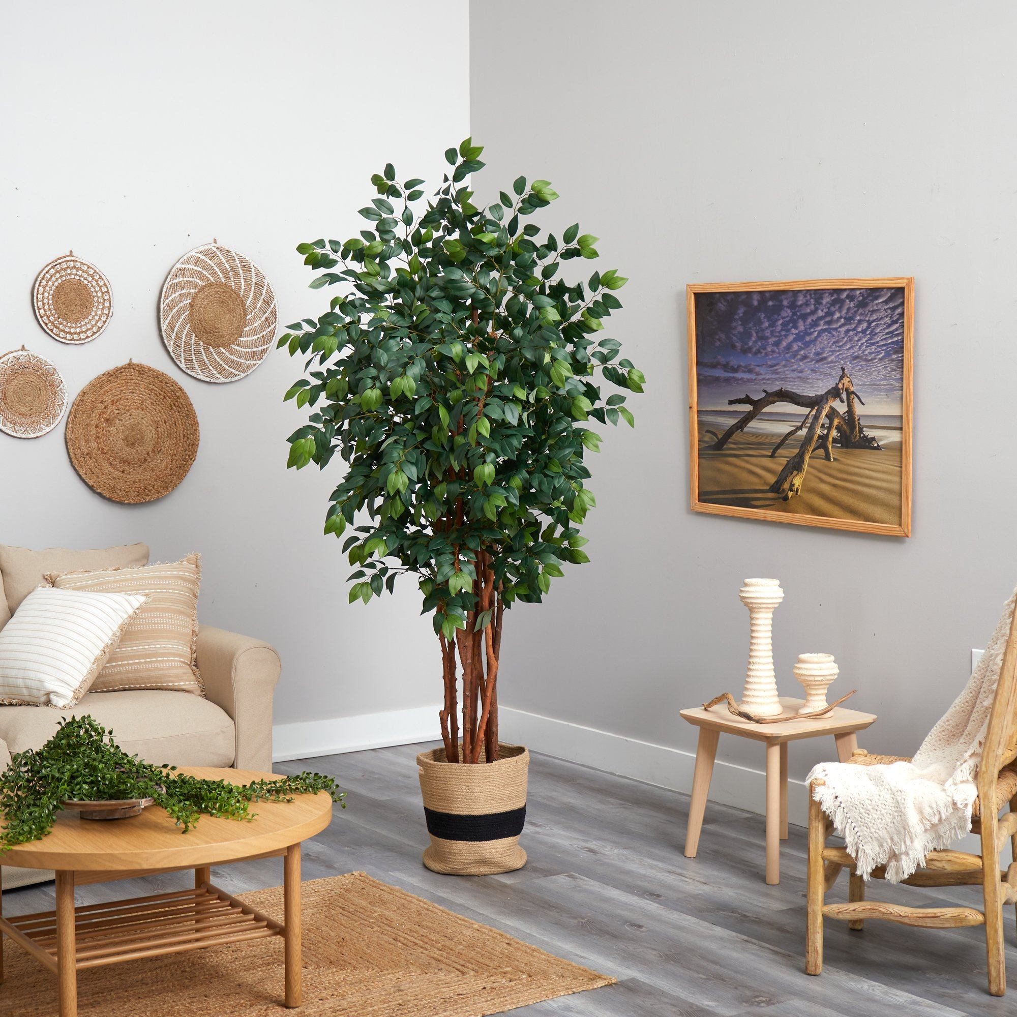 7’ Sakaki Artificial Tree in Handmade Natural Cotton Planter | Nearly