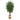 7’ Sakaki Artificial Tree in Handmade Natural Jute and Cotton Planter