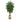 7’ Sakaki Artificial Tree in Handmade Natural Jute and Cotton Planter