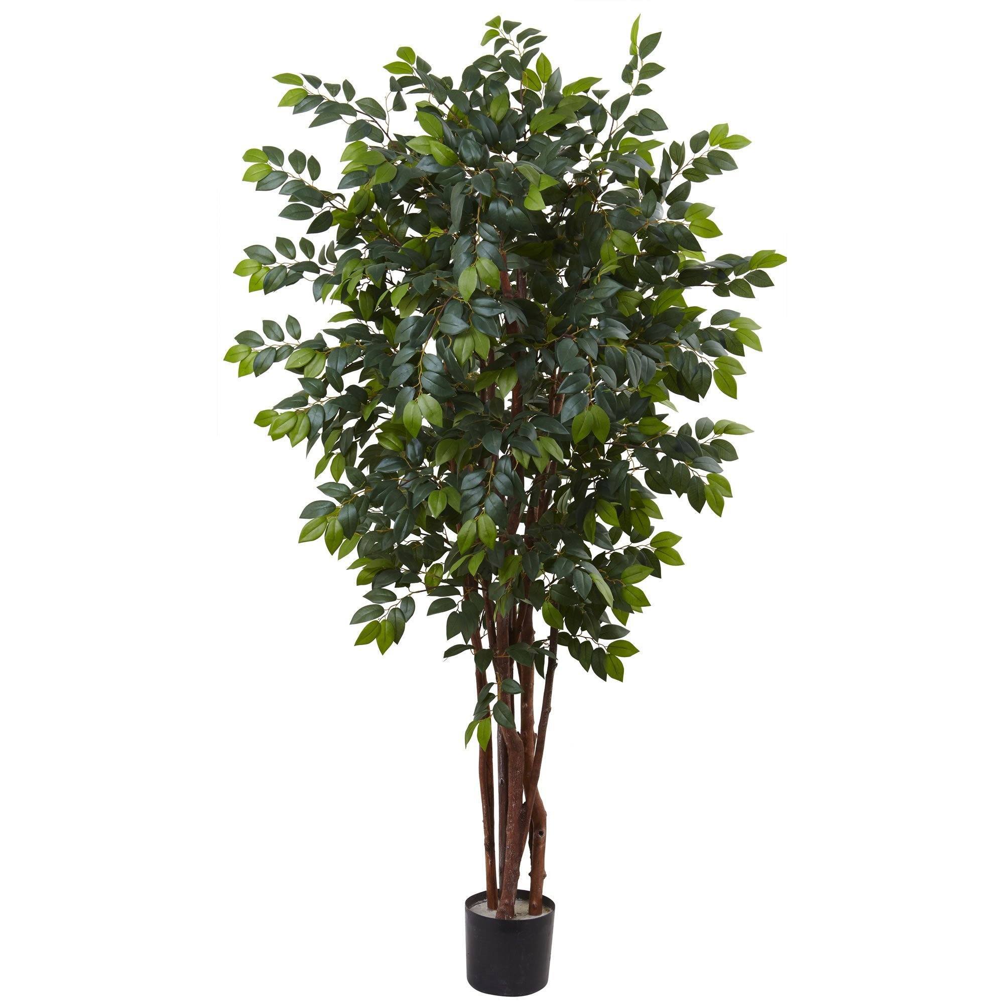 7' Sakaki Silk Tree | Nearly Natural