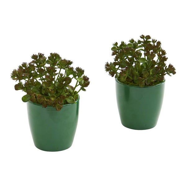 7" Sedum Succulent Artificial Plant in Green Planter (Set of 2)"