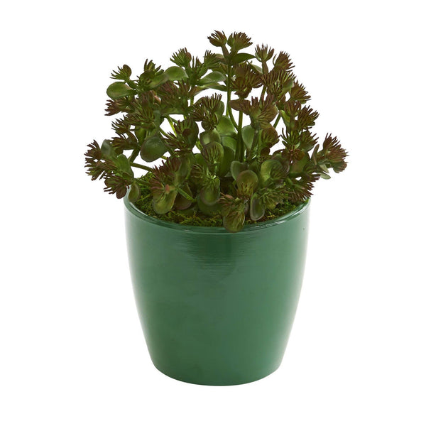 7" Sedum Succulent Artificial Plant in Green Planter (Set of 2)"