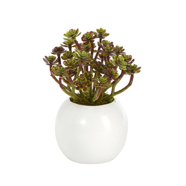 7” Sedum Succulent Artificial Plant in White Planter