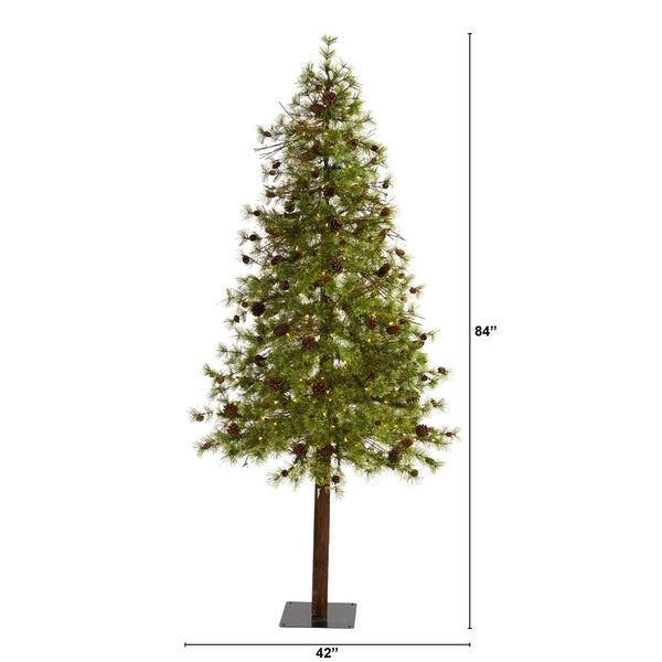 7' Wyoming Alpine Artificial Christmas Tree with 200 Clear (multifunction) LED Lights and Pine Cones on Natural Trunk