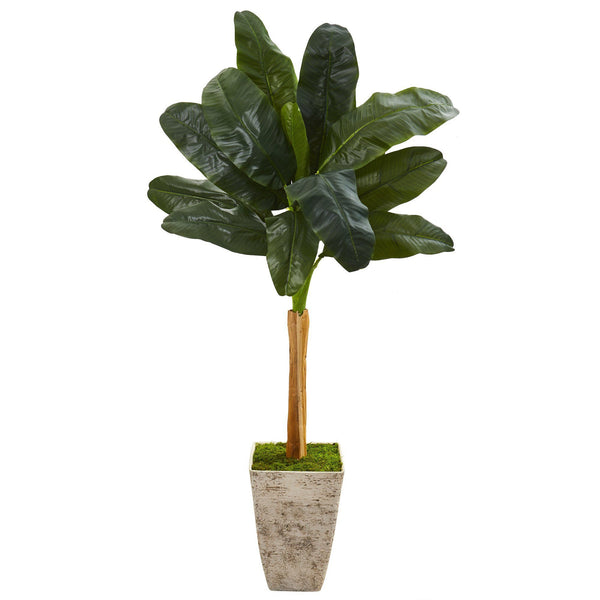 70” Banana Artificial Tree in Country White Planter