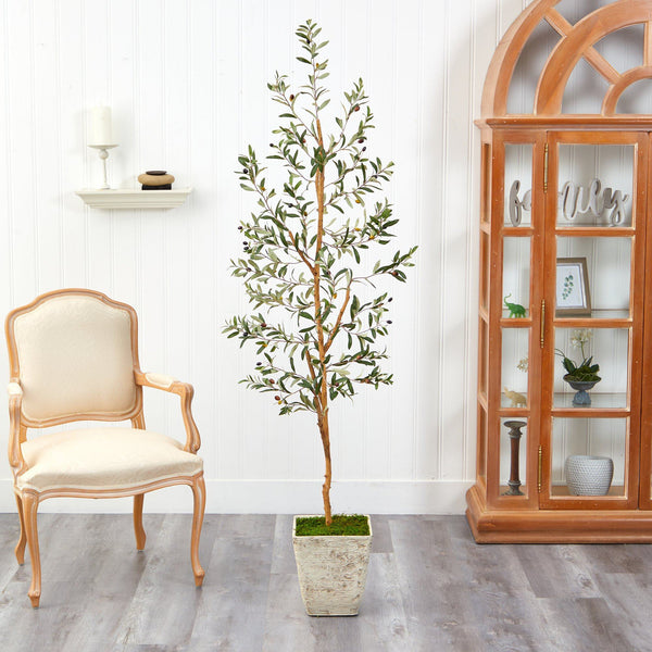 70” Olive Artificial Tree in Country White Planter