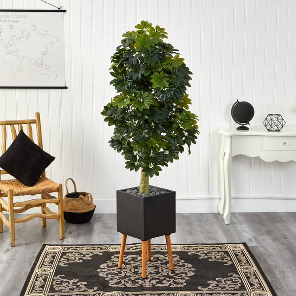 70” Schefflera Artificial Tree in Black Planter with Stand (Real Touch)
