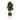 70” Schefflera Artificial Tree in Black Planter with Stand (Real Touch)