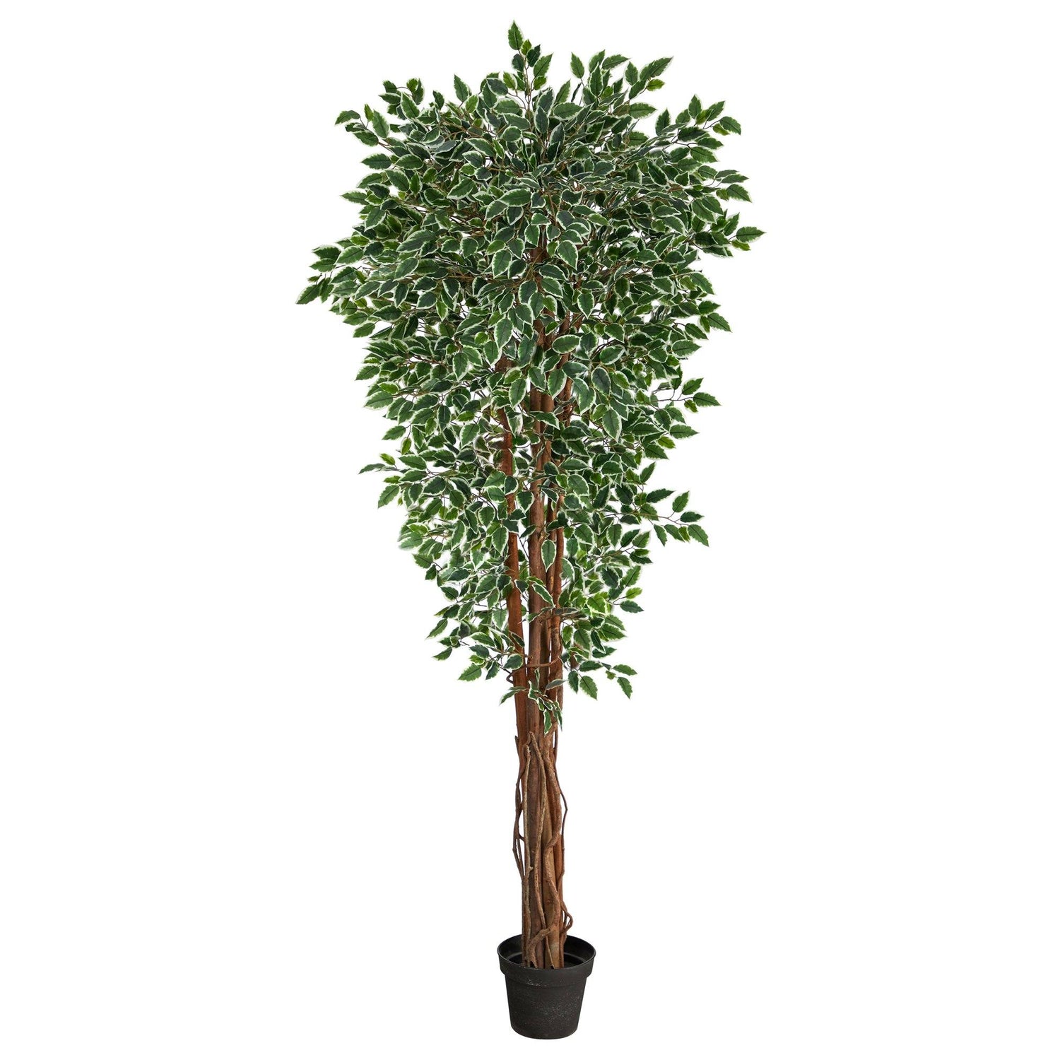 70” Variegated Ficus Artificial Tree UV Resistant (Indoor/Outdoor)