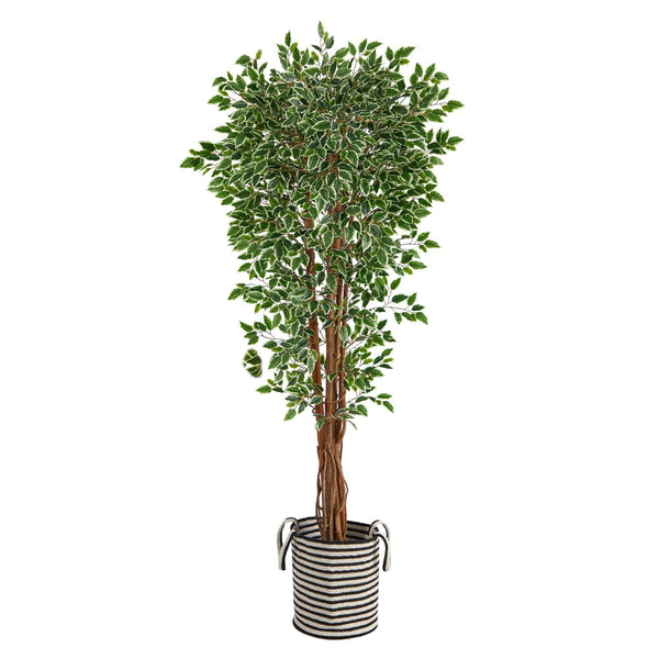 70” Variegated Ficus Tree in Handmade Black and White Natural Jute and Cotton Planter UV Resistant
